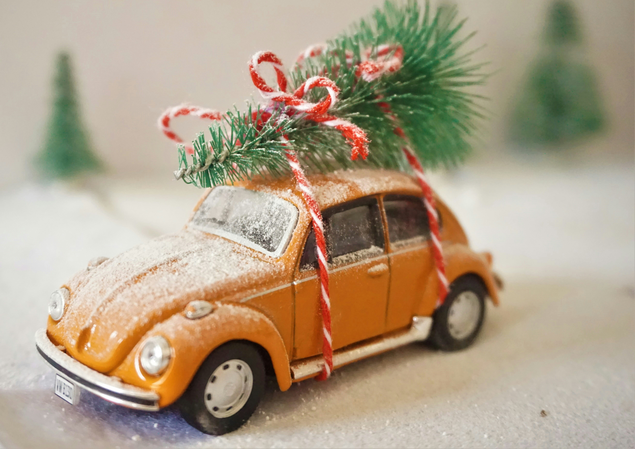 Christmas Bug