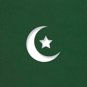 crescent moon cactus green