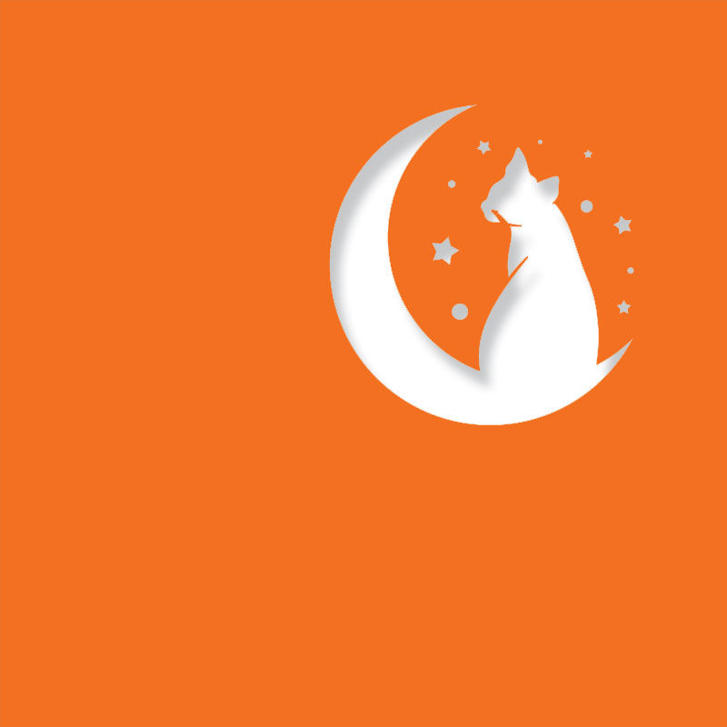 Half Moon Cat - Image 9