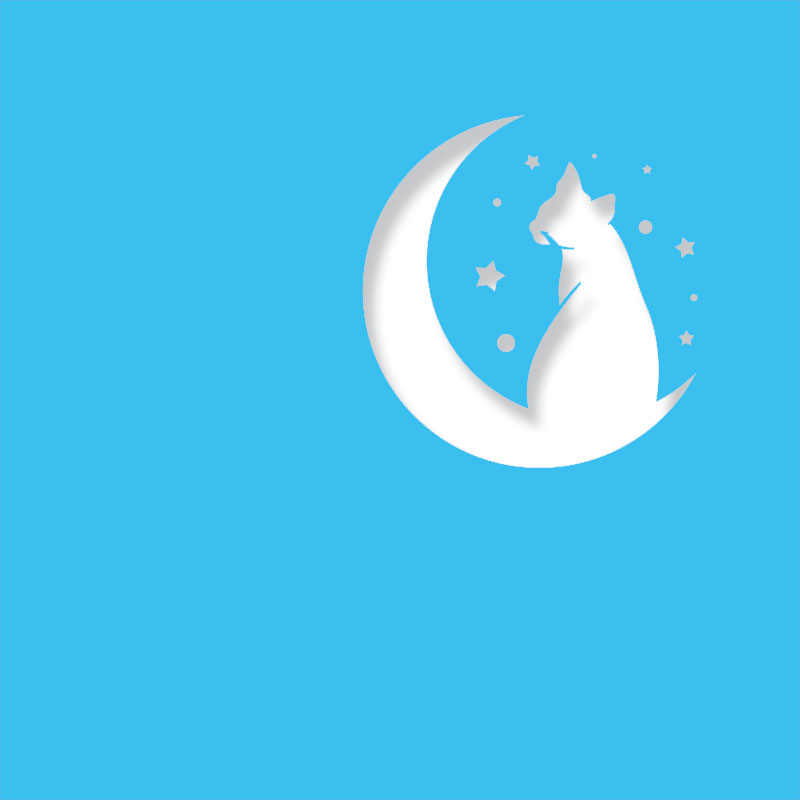 Half Moon Cat - Image 4