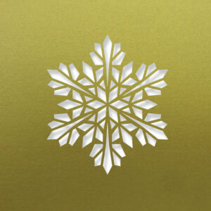 Modern Snowflake
