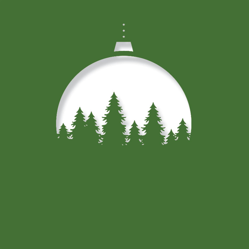 pine moon evergreen