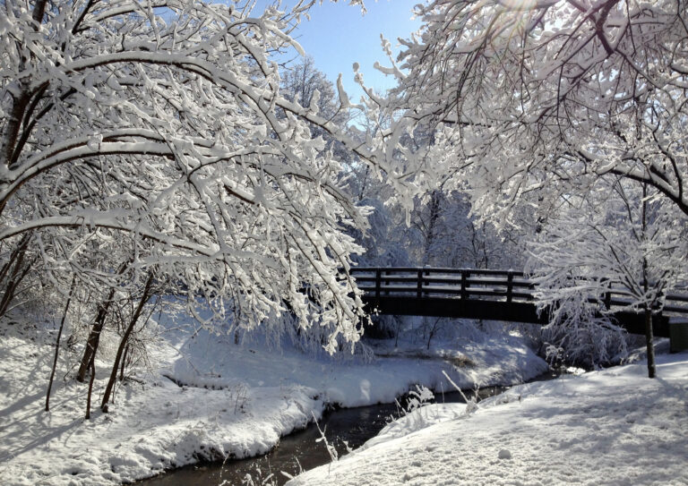 winter wonderland